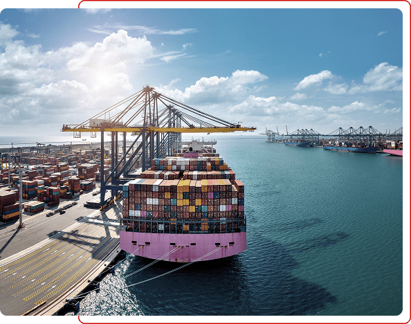 Import-export-business